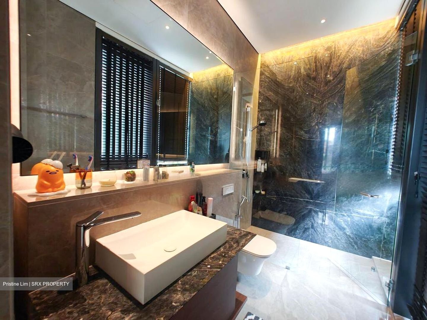 Toh Estate (D17), Detached #450032721